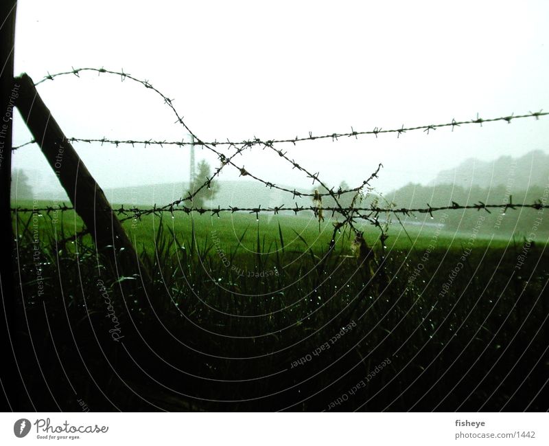 barbed wire Barbed wire Fence Wet Rope Fog Pole
