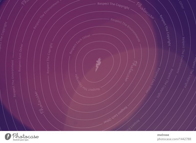 Circles of Life Design Art Blur Point circles Together Tone-on-tone Movement Think Rotate Elegant Uniqueness Modern Retro Round Town Violet Pink Moody