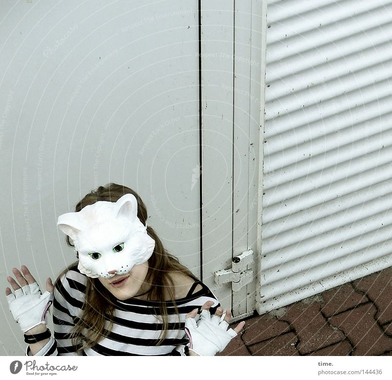 Sorry, Catfood Not Available [La Chamandu] Joy Feminine Woman Adults Fingers Door T-shirt Mask Gloves Crazy Gray Striped Gesture Posture cat mask