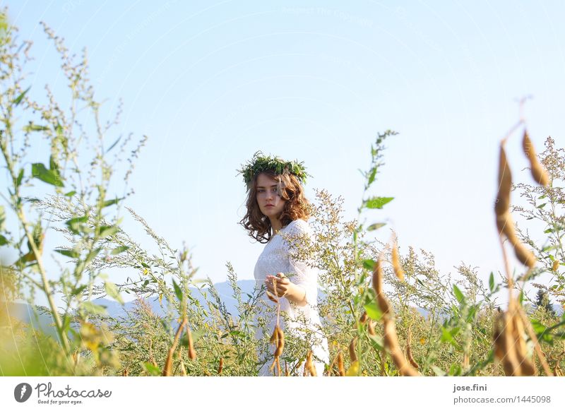 eHlfö00ä Beautiful Schoolchild Feminine Girl Young woman Youth (Young adults) Nature Landscape Sky Cloudless sky Spring Summer Beautiful weather Field Wreath