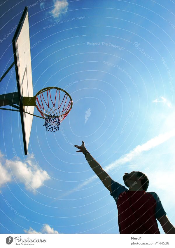 Unobtainable Sky Blue Man Arm Hand Clouds Sun Upper body Sports Playing Basketball player Basketball basket Bright background Sky blue Blue sky