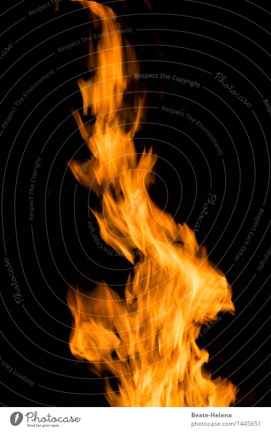 The heat comes from within: the fire burns Fire Warmth Hot Bright chill arrogance Light Life Burn Flame Embers Fireplace