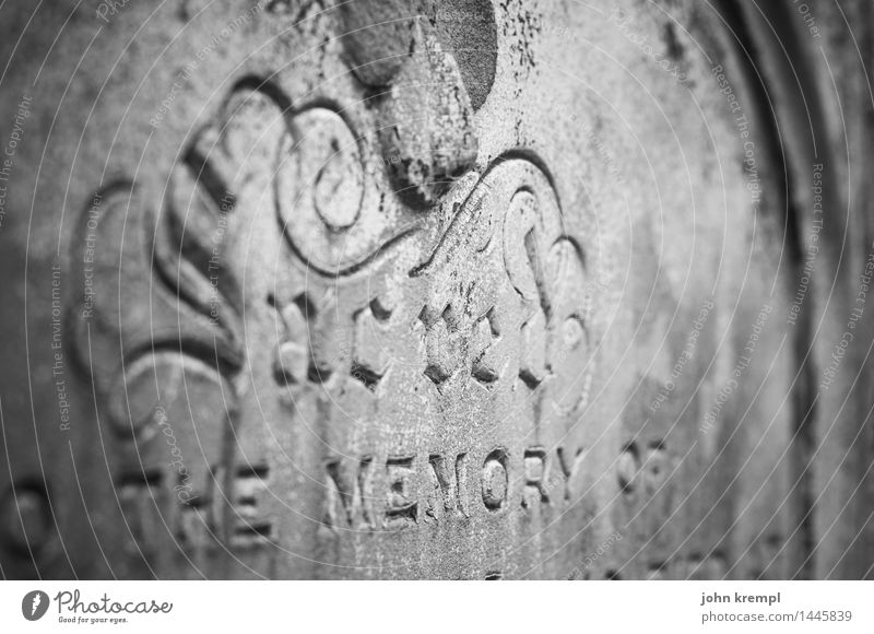 saddened to death Church Cemetery Tombstone Stone Gloomy Romance Dedication Sadness Grief Death Senior citizen Apocalyptic sentiment Religion and faith