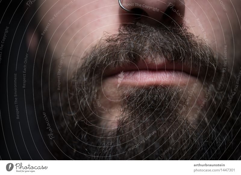 Young man with piercing in the nose and full beard Face Human being Masculine Youth (Young adults) Man Adults Facial hair 1 30 - 45 years Jewellery Nose ring
