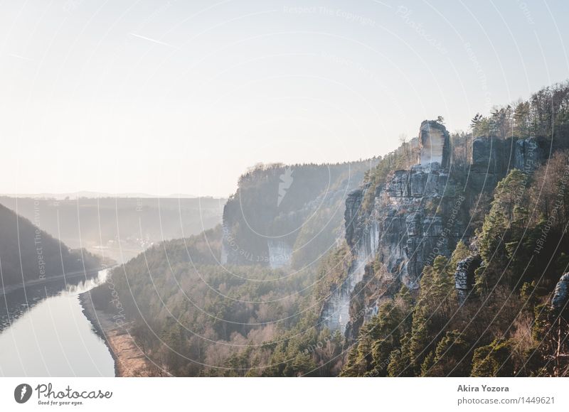 In the haze of the evening Nature Landscape Water Sky Spring Beautiful weather Fog Tree Rock Mountain River Elbe Elbsandstone mountains Sandstone