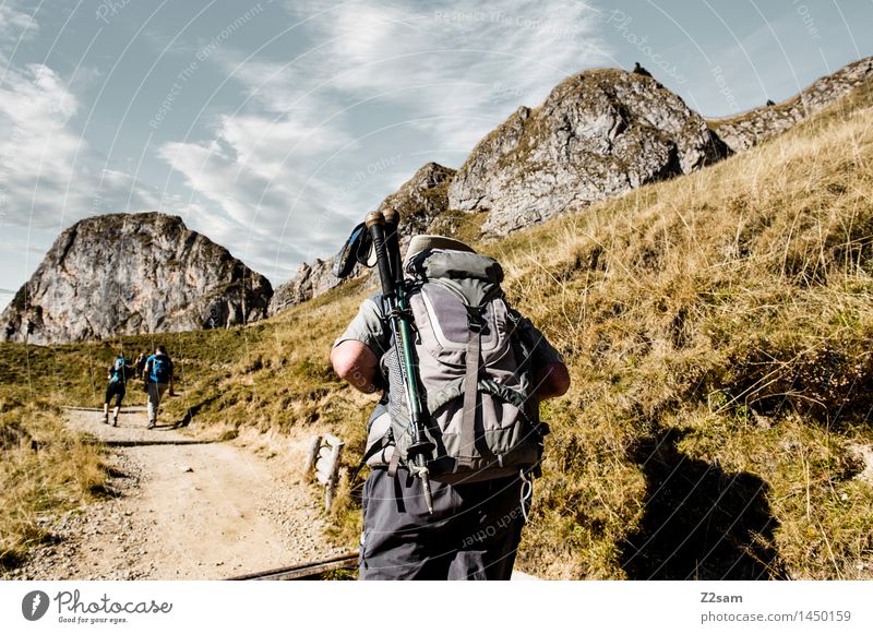 alpine backpacker Leisure and hobbies Hiking Human being 3 Autumn Grass Bushes Hill Rock Alps Going Natural Athletic Patient Disciplined Endurance Adventure