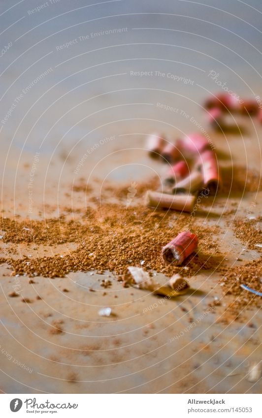 The Day After Firecracker New Year's Eve New Year's Party Feasts & Celebrations Trash Remainder Unexploded device Portrait format Dangerous flashier bang fire