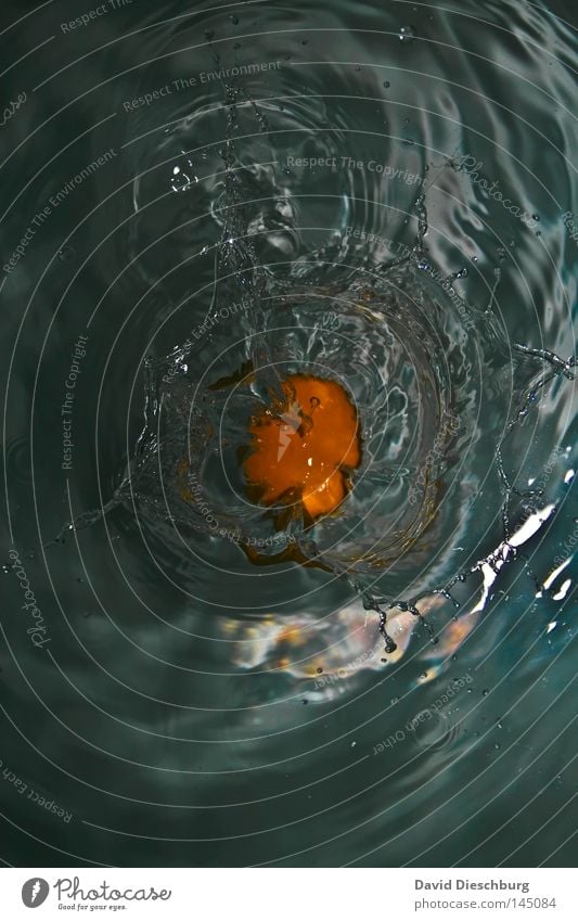 egg yolk Water Elements Chemical elements Fluid Wet Waves Inject Damp To fall Smash Surface Reflection Undulating Food Barn fowl Egg Yolk Albumin Lie