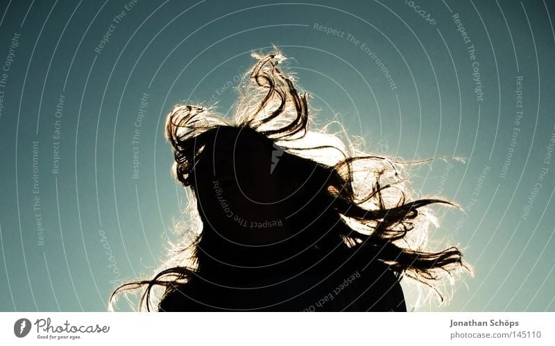 Silhouette of a young woman with long flowing hair in front of the sky Joy Hair and hairstyles Life Sun Woman Adults Wind Gale Movement Jump Long Happy
