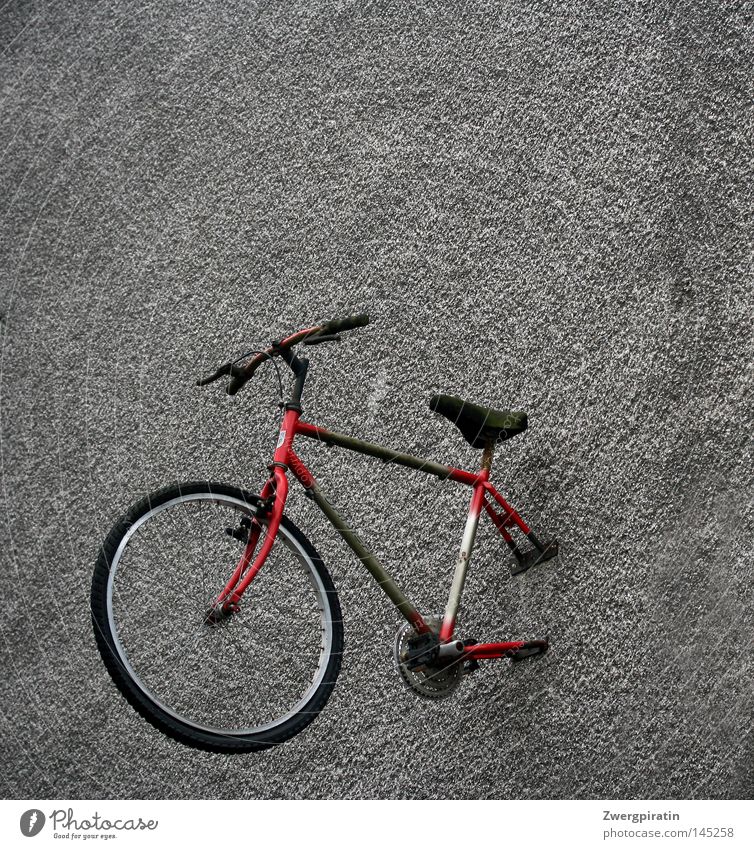 the better half Wall (building) Gray Gloomy Boredom Dirty Bicycle Half Bicycle handlebars Bicycle saddle Wheel Tire Spokes Pedal Red Green Black Suspended Screw