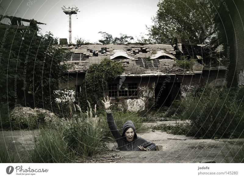 weeds don't go away Territory Farm Building House (Residential Structure) Shed Barn Shabby Harmful Derelict Loneliness Broken Hollow Human being Living thing