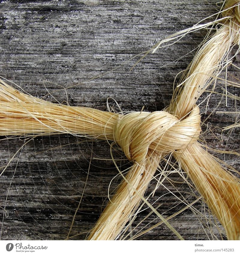 blondie Rope Nature Hemp Wood String Knot To hold on Thread Connect Material Sisal Wood grain knotted Connection Colour photo Subdued colour Close-up Detail