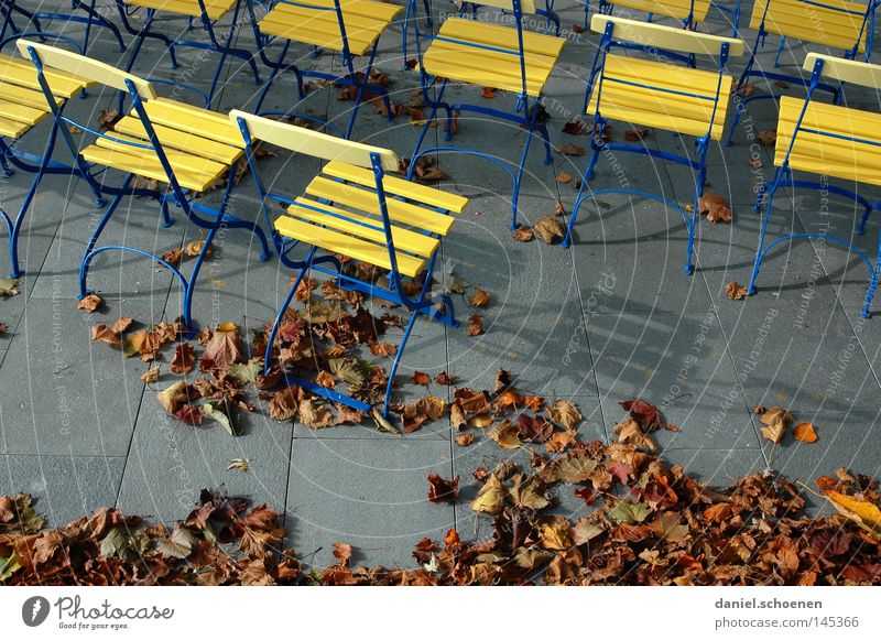 open air Autumn Moody Colour Yellow Brown Leaf Chair Break Gray Traffic infrastructure Education