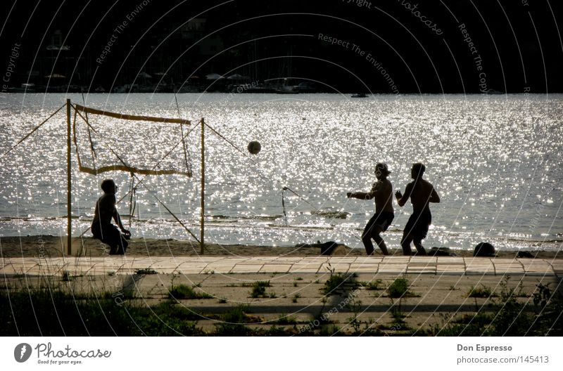 summer games Volleyball (sport) Ball Net Beach Sand Ocean Lake Water Waves Summer Vacation & Travel Swimming pool Open-air swimming pool Athletic Sports Joy