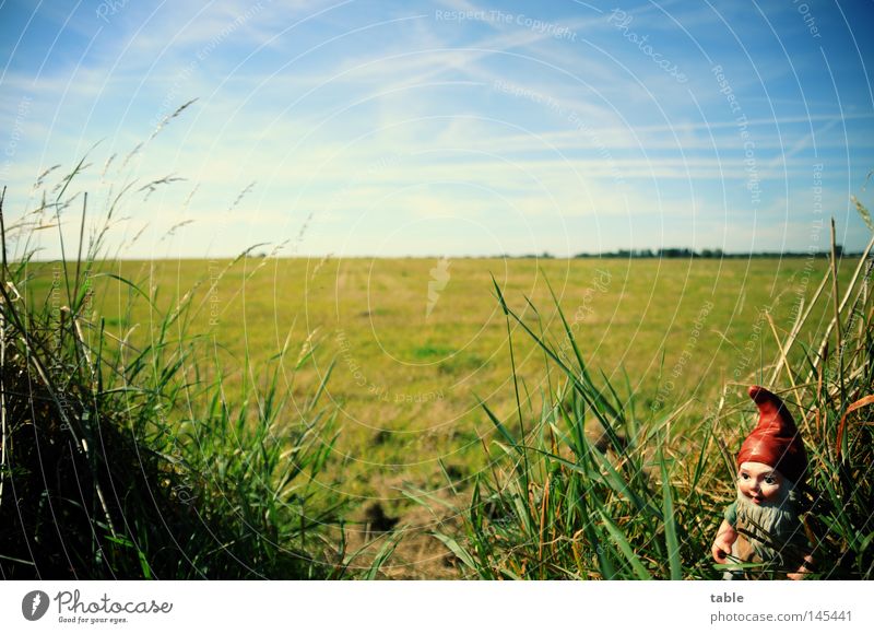 aerie Dwarf Garden gnome Janitor Petit bourgeois Gastronomy Cliche Meadow Sky Clouds Summer Grass Hay Green Blue White Emotions Germany colony of leaves