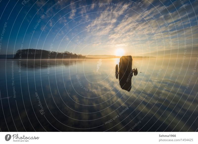 Sunrise in the fog and reflection of the clouds in the lake Beautiful Calm Nature Water Horizon Autumn Fog Tree Lake Stone Blue Yellow Red Romance Death