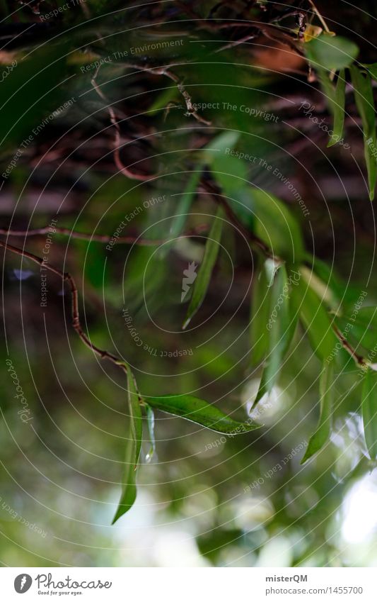 Soft green. Art Esthetic Contentment Green Foliage plant Decent Blur Leaf Leaf canopy Nature Tree Colour photo Subdued colour Exterior shot Close-up