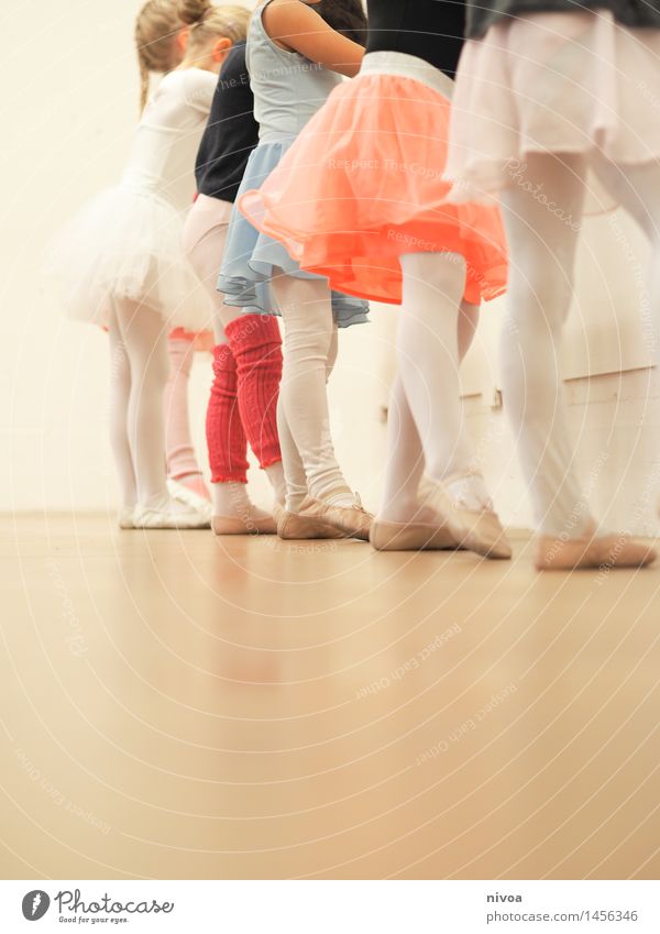 millipedes Dance Parenting - a Royalty Free Stock Photo from Photocase