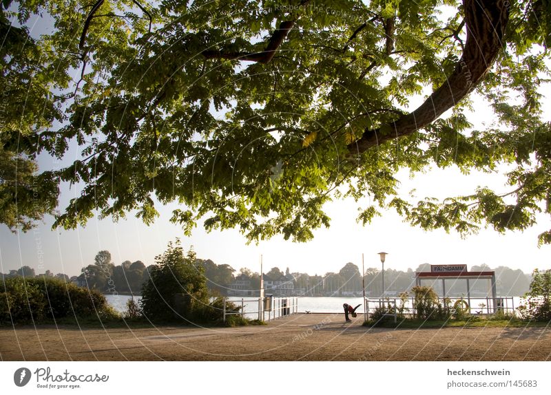 early-morning exercise Calm Sun Jogging Nature Water Tree Leaf Park Lakeside River bank Peaceful Oak tree Warming up Distend Physique one person Exterior shot