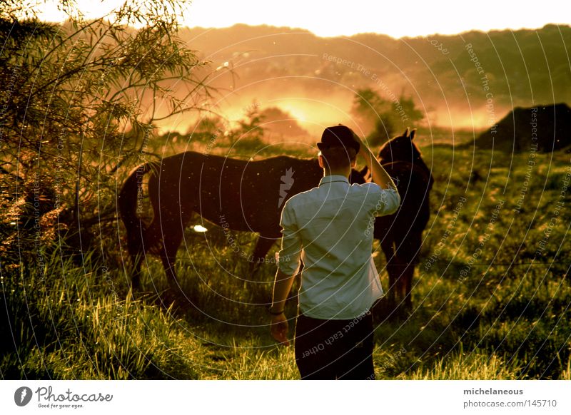 when the earth burns these days... Dust Horizon Blaze Fire Flame Horse Shirt Hat Pants Gentleman Tree Meadow Pasture Far-off places Longing Sun Evening Red