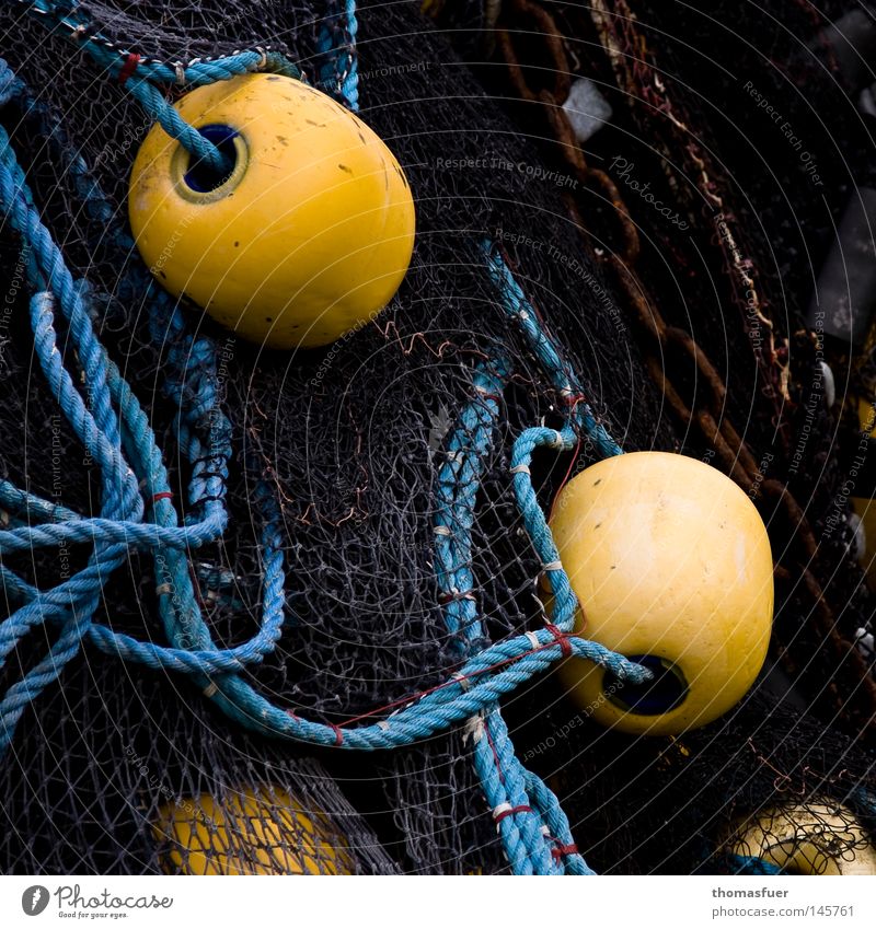 turquoise fishing nets with yellow floating balls are lying at the harbour  - a Royalty Free Stock Photo from Photocase