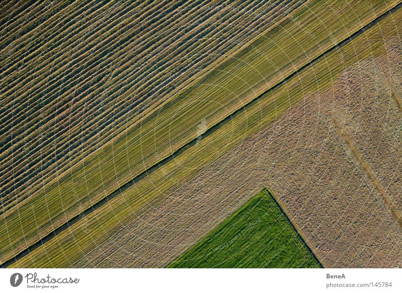 field Food Work and employment Economy Agriculture Forestry Trade Nature Landscape Grass Agricultural crop Meadow Field Brook Line Rotate Green Red Symmetry
