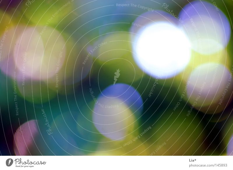 points III Light Patch Speckled Sun Alcohol-fueled Multicoloured Colour Dye Background picture Floodlight Light show Abstract Dream Structures and shapes Circle
