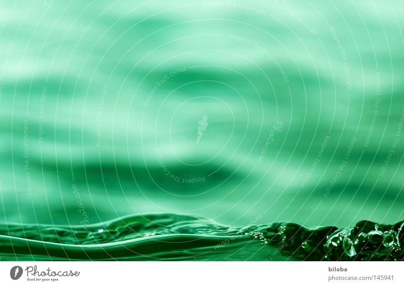 Bil-Water II _ "The Green Wave" Waves Life Emotions Elements Chemical elements Lake Liquid Fluid Soft Delicate Calm Comforting Empty Air Primordial Deep Cold