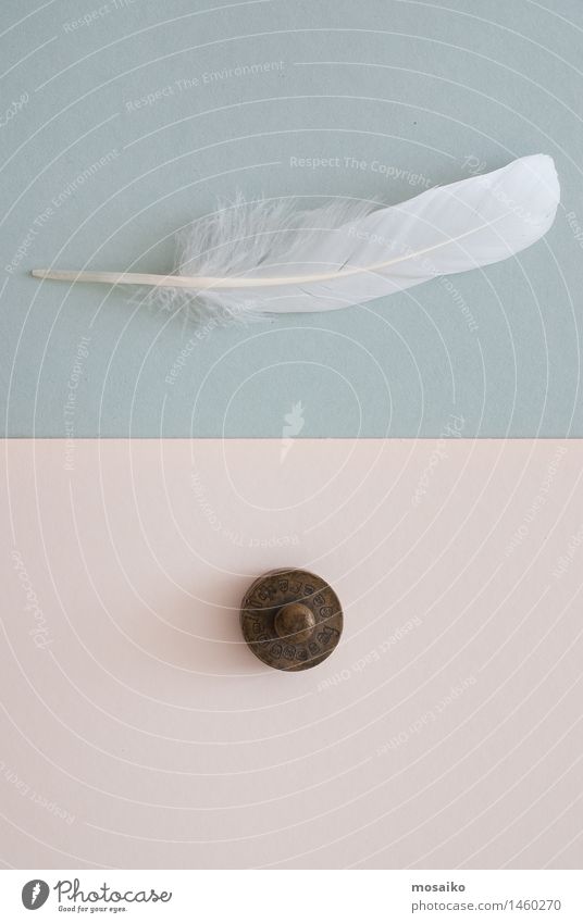 white feather and weight Paper Contentment Equal Creativity Break Surrealism Symmetry Above Feather Bird Blue Weight Weightlessness Diet Contrast White Heavy