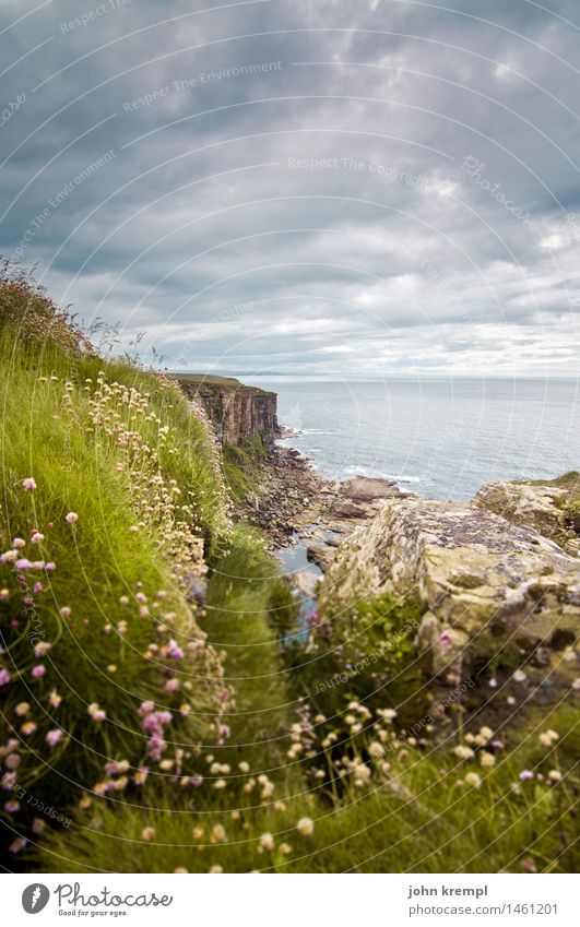 To the end of the world II Nature Landscape Clouds Bad weather Flower Grass Moss Waves Coast North Sea Cliff dunnet head Scotland Vacation & Travel Infinity