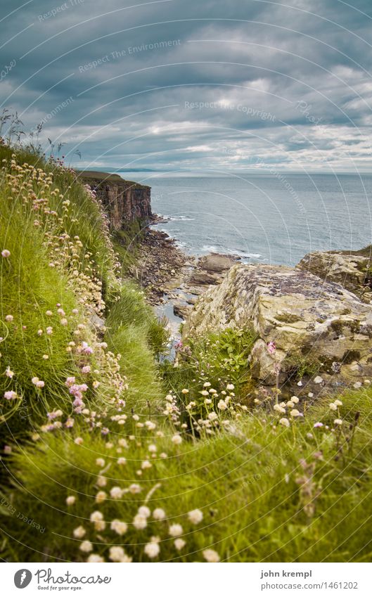 to the ends of the earth Nature Landscape Plant Flower Grass Moss Foliage plant Hill Rock Coast North Sea Cliff dunnet head Scotland Highlands Friendliness