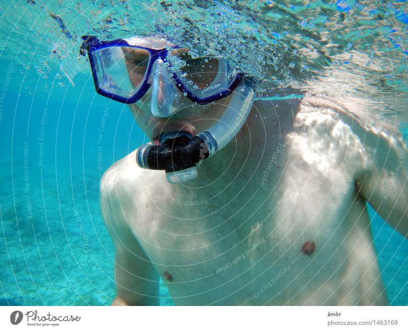 dive diagonally Summer vacation Ocean Aquatics Swimming & Bathing Dive Snorkeling snorkel diving goggles upper body free Observe Relaxation To enjoy Hunting