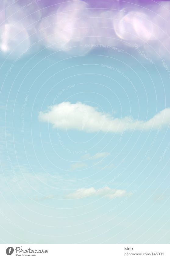 BIRD IN THE WATER, FISH IN THE SKY! Sky White Violet Glittering Light Dadaism Point of light Clouds Break Horizon Roof Background picture Abstract Pastel tone