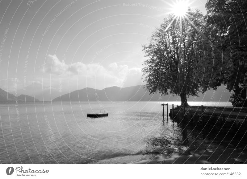 Autumn lake 2 Calm Water Mountain Alps Swiss Alps Sun Sunbeam Switzerland Lake Vantage point Loneliness Tree Branchage Twigs and branches Leaf Clouds Sky Gray