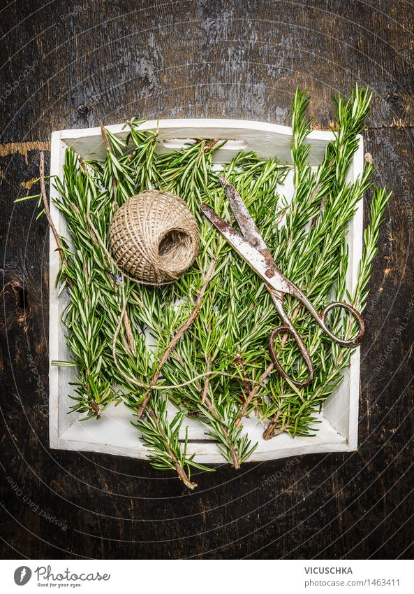 Rosemary and old scissors Food Herbs and spices Lifestyle Alternative medicine Healthy Eating Summer Garden Table Nature Design Style Aromatic Twig Scissors