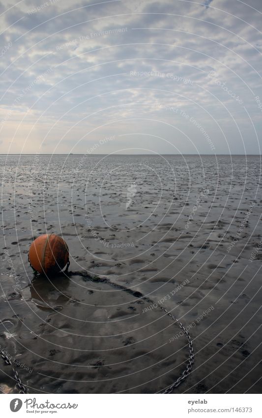 Solitary Foreign Body Coast Beach Clouds Autumn Buoy Anchor To anchor Red Low tide Places Far-off places Near Infinity Horizon Walk along the tideland