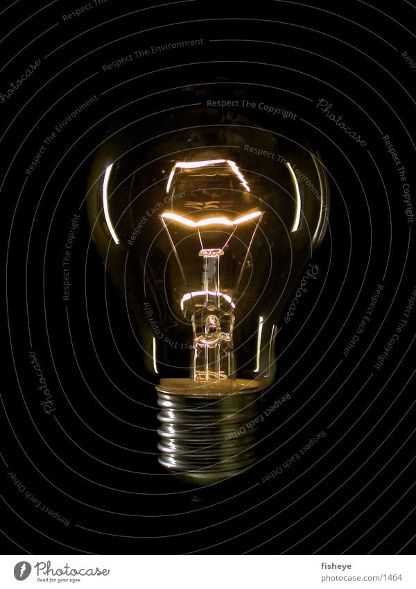 Light source/1 Electric bulb Electricity Dark Things Energy industry Glass Metal