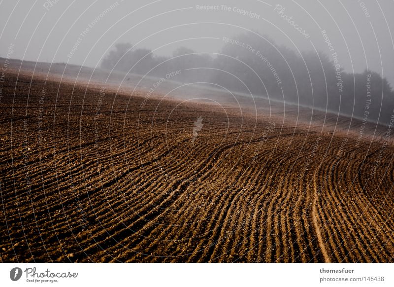 autumn field Field Fog Autumn Sunrise Gloomy Lamp Romance Agriculture Calm Think Beginning End Sign Transience Peace ploughed up ponder Sadness