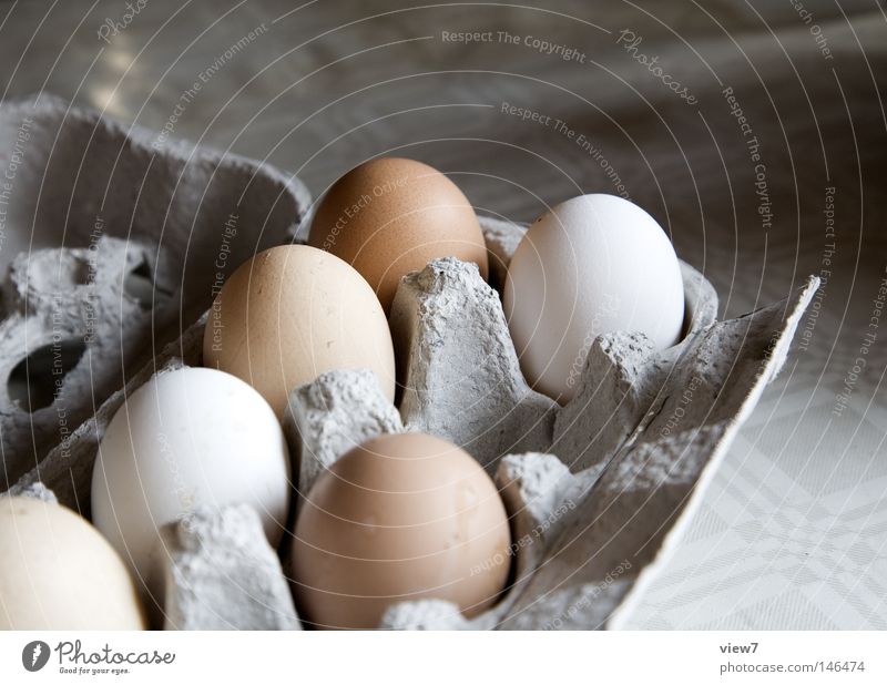 floor posture Barn fowl Packing material Laying hen Error Consumption Packaging Fried egg sunny-side up Scrambled eggs Poultry Livestock Farm Bowl Colour Dye