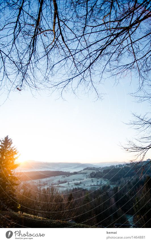 I like to rise when the sun she rises II Environment Nature Landscape Plant Cloudless sky Sun Sunrise Sunset Sunlight Winter Beautiful weather Ice Frost Tree