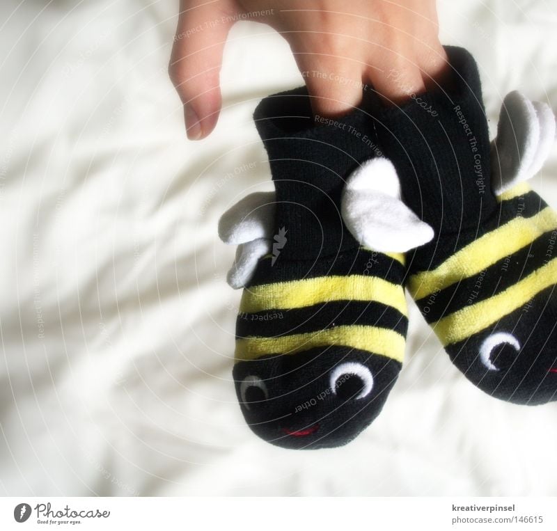 hum,hum,hum... Hand Fingers Stockings Footwear Bee Wing Stripe Bumble bee Colour photo Cute Kiddy clothes Isolated Image Bright background Animal figure