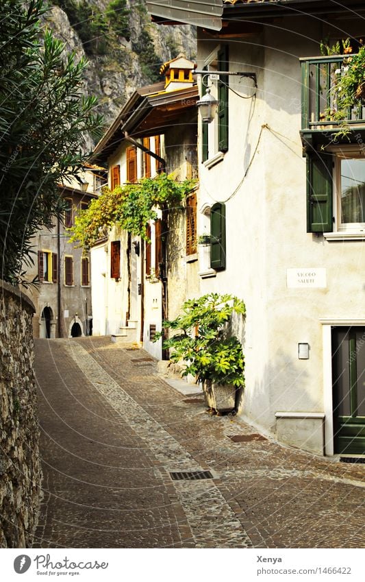 Row of houses in Limone Village Deserted House (Residential Structure) Brown Green White Picturesque Vacation destination Vacation mood Alley Cobblestones