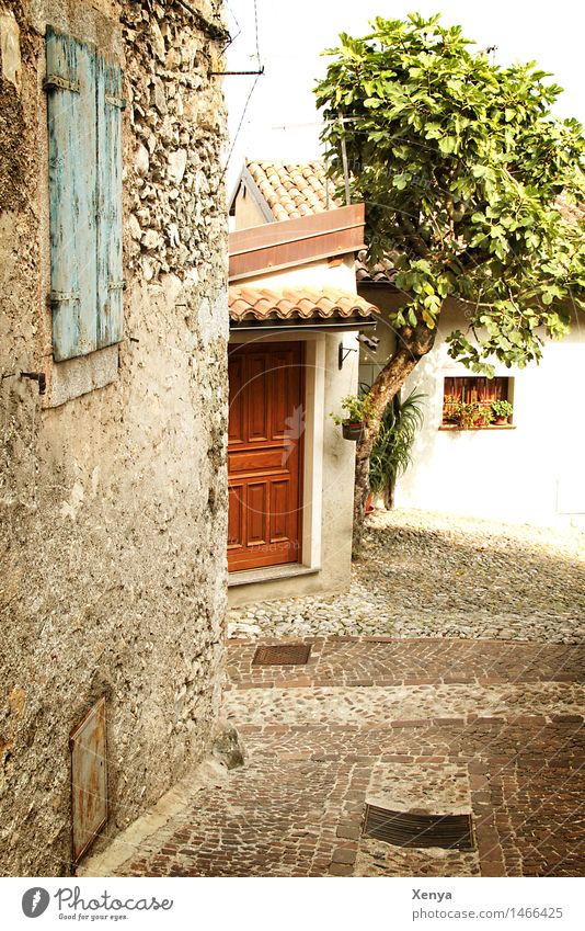 Street in Limone Tree Village House (Residential Structure) Wall (barrier) Wall (building) Door Stone Brown Green Nostalgia Picturesque Vacation photo