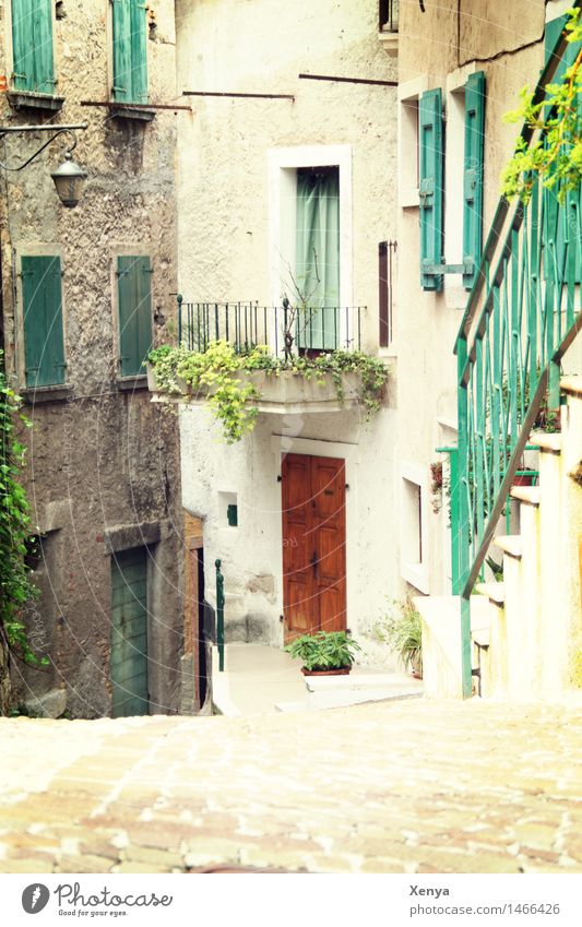 Alley with houses and stairs in Limone Village House (Residential Structure) Facade Balcony Green Idyll Vacation destination Calm Vacation mood Summer Italy