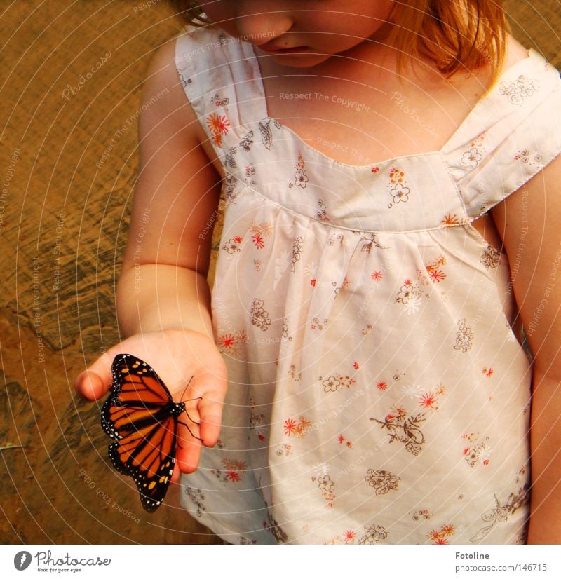 Fly little butterfly - or a little girl very carefully holds a little butterfly resting on her Colour photo Interior shot Day Artificial light