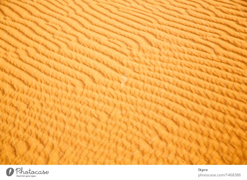 in the sahara morocco desert Beautiful Vacation & Travel Wallpaper Nature Landscape Sand Beautiful weather Virgin forest Hill Hot Brown Yellow Loneliness Idyll