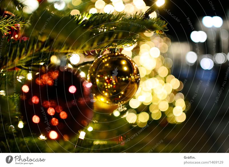 Glittering Christmas time Living or residing Decoration Christmas & Advent Winter Tree Illuminate Kitsch Retro Yellow Gold Red Anticipation Enthusiasm