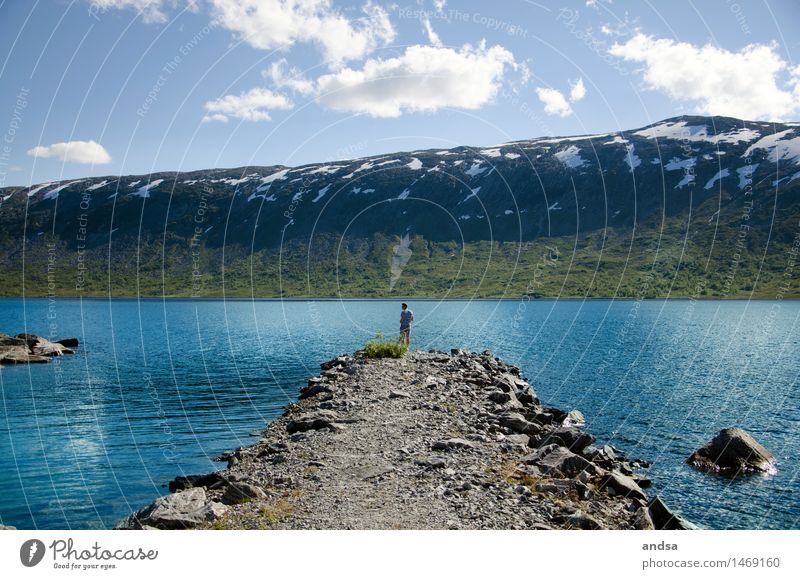 Somewhere in Norway Human being Masculine Young man Youth (Young adults) Man Adults 1 18 - 30 years Nature Landscape Animal Elements Earth Air Water Sky Clouds
