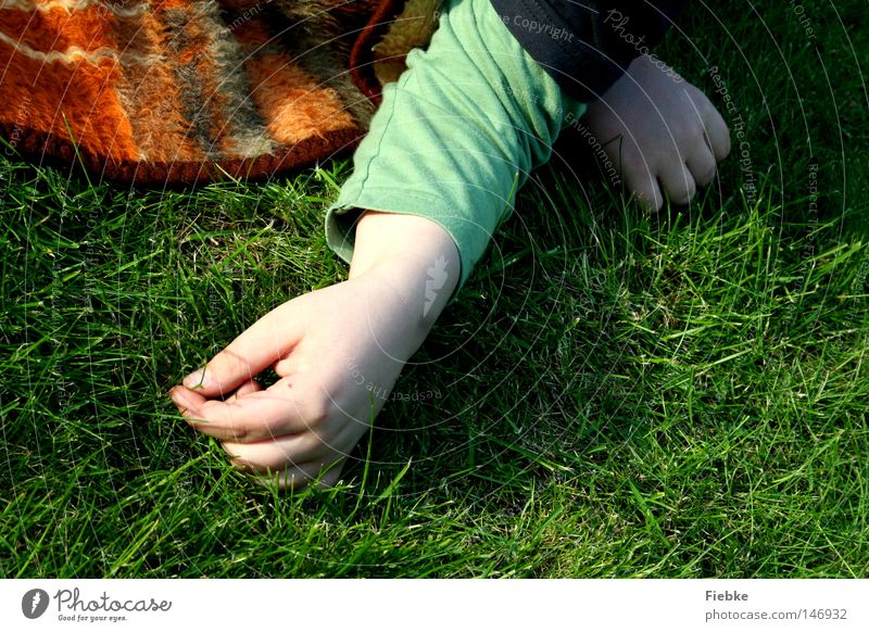 grass inventory Grass Floor covering Ground Meadow Blanket Hand Human being Child Boy (child) Blade of grass Checkered Green Physics Summer Memory Calm