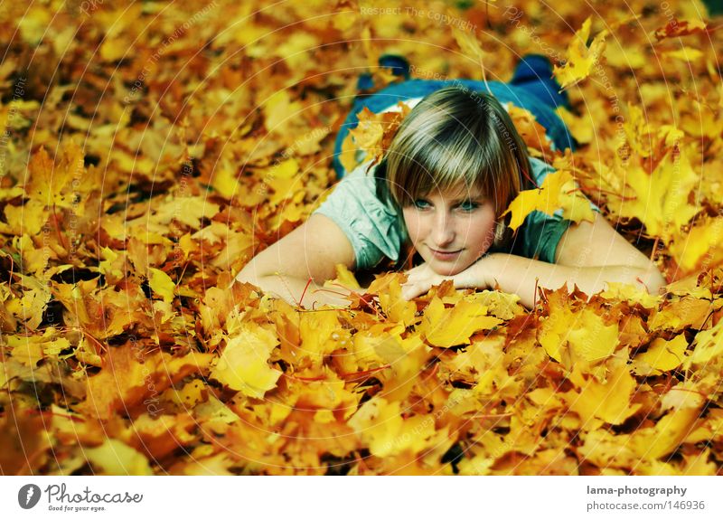 autumn dreams Autumn Leaf Dream Daydream Relaxation Deciduous tree Tree Woman Youth (Young adults) Serene Loneliness Hope Moody Beautiful Portrait photograph
